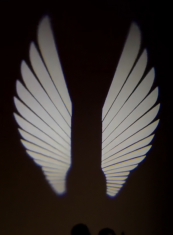 Angel Wing LED Light – Laser Floor Projection – Motorcycle